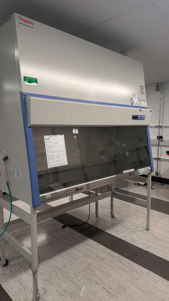 Image of Thermo Scientific 1300 Series A2 Class II BSC -6ft